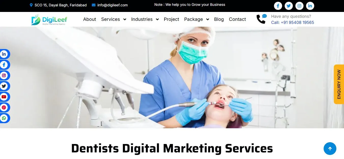 DigiLeef - Dental Digital Marketing Agency